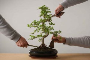 ▷ Trucos y consejos para cuidar a tus bonsáis 🥇